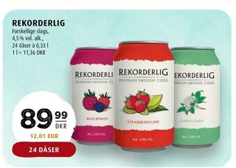 Scandinavian Park Rekorderlig tilbud