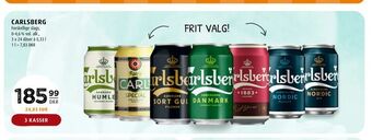 Scandinavian Park Carlsberg tilbud