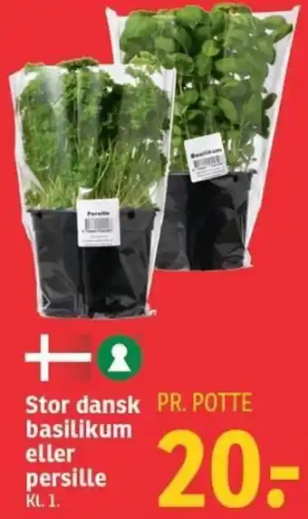 SPAR Stor Dansk Basilikum Eller Persille tilbud