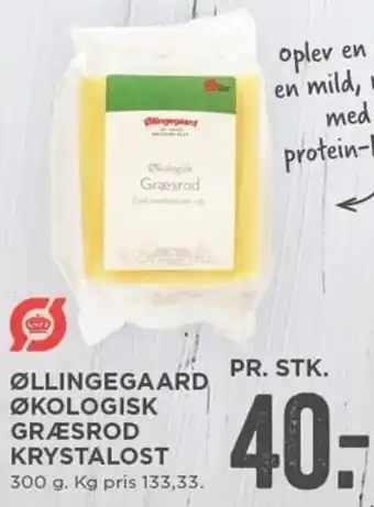 Øllingegaard Økologisk Græsrod Krystalost 300 g