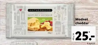 Modnet cheddar