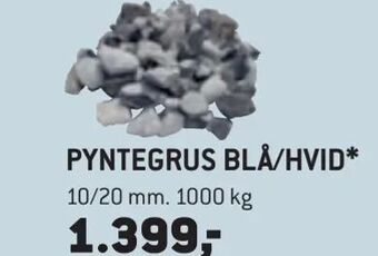 XL-BYG Pyntegrus blå/hvid tilbud