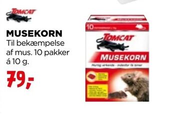 Musekorn