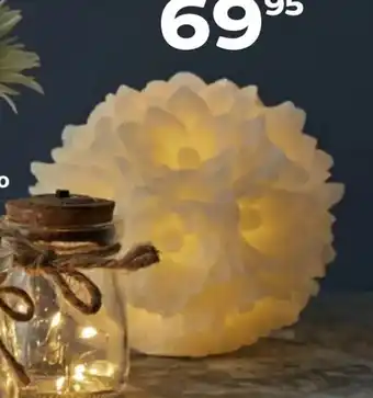 Kvickly LED rose tilbud