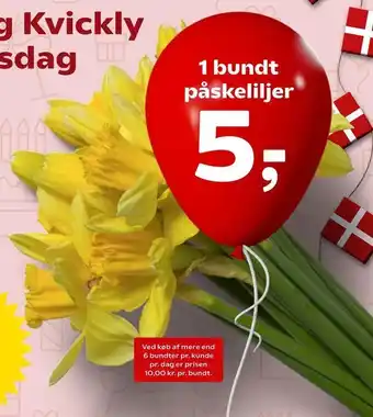 1 bundt påskeliljer