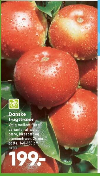 Bilka Danske frugttræer tilbud