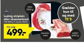Bilka Ludvig striploin eller oksemørbrad tilbud