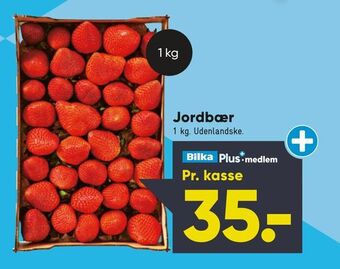 Bilka Jordbær tilbud