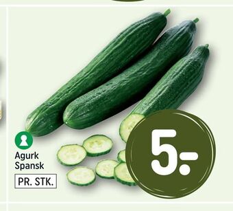 REMA 1000 Agurk Spansk tilbud