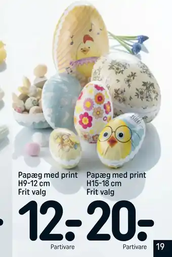 REMA 1000 Papæg med print H15-18 cm Frit valg tilbud
