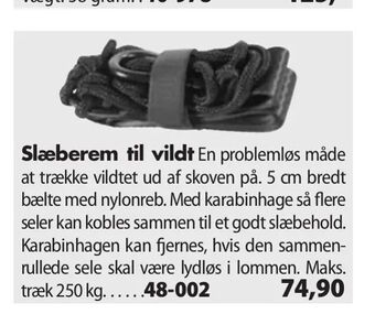 Slæberem til vildt