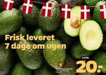 Netto Formodnede avocado tilbud