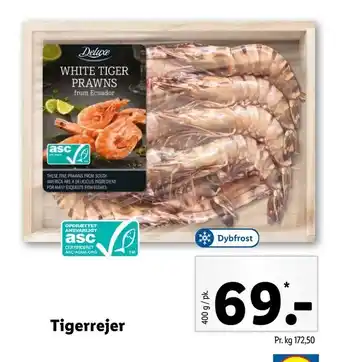 Tigerrejer