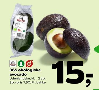 365 økologiske avocado