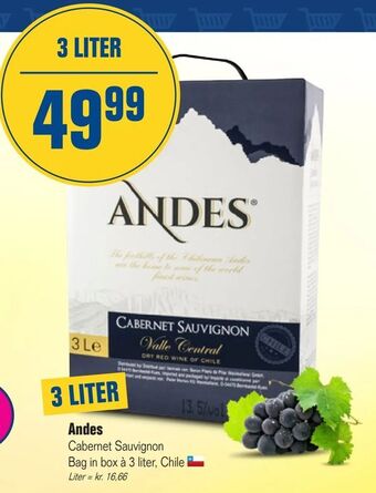 Otto Duborg Andes tilbud