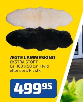 Ægte lammeskind