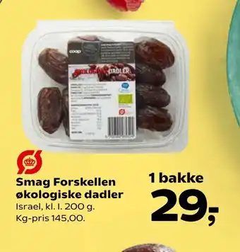 Kvickly Smag Forskellen økologiske dadler tilbud