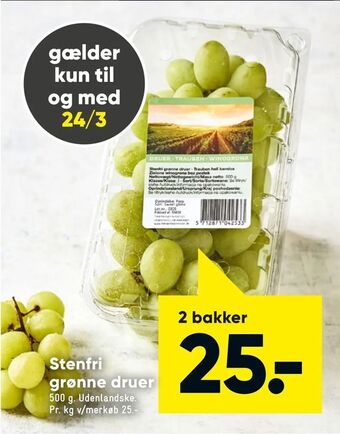 Bilka Stenfri grønne druer tilbud
