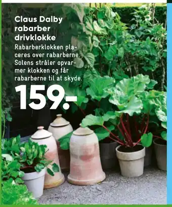 Bilka Claus Dalby rabarber drivklokke tilbud