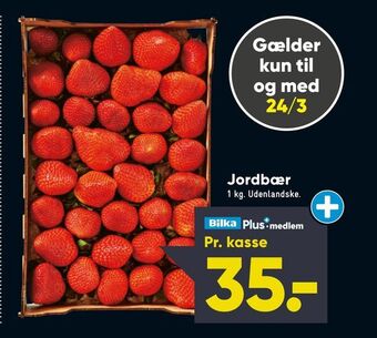 Bilka Jordbær tilbud