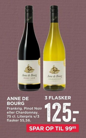 Anne de bourg