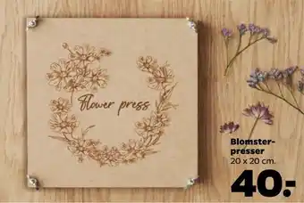 Netto Blomster presser tilbud