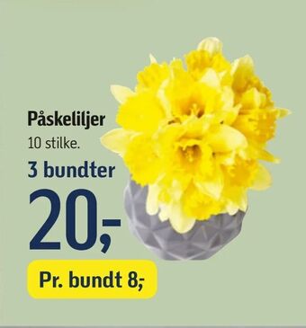 Føtex Påskeliljer tilbud