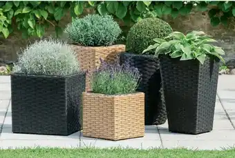 Polyrattan krukker Natur eller sort