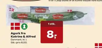 Kvickly Agurk fra Katrine & Alfred tilbud
