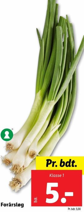 Lidl Forårsløg tilbud