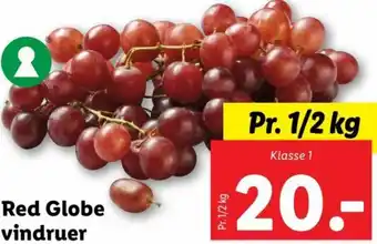 Lidl Red Globe Vindruer tilbud