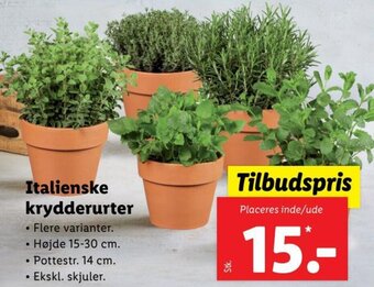 Lidl Italienske Krydderurter tilbud