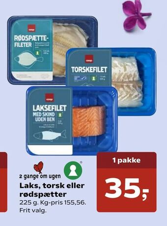 Laks, torsk eller rødspætter