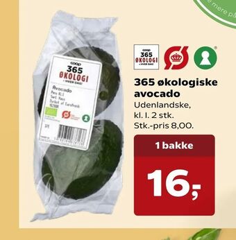 SuperBrugsen 365 økologiske avocado tilbud