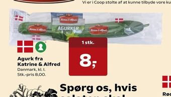 SuperBrugsen Agurk fra Katrine & Alfred tilbud