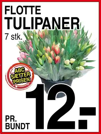 Tulipaner