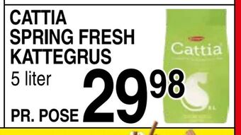 Spring fresh kattegrus