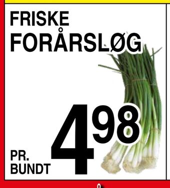 ABC Lavpris Forårsløg tilbud