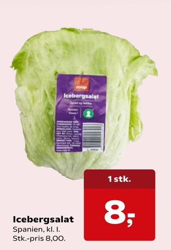 Kvickly Icebergsalat tilbud