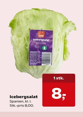 SuperBrugsen Icebergsalat tilbud
