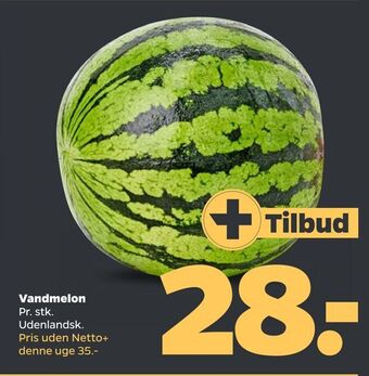 Netto Vandmelon tilbud