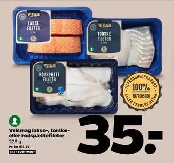 Netto Velsmag lakse-, torske eller rødspættefileter tilbud