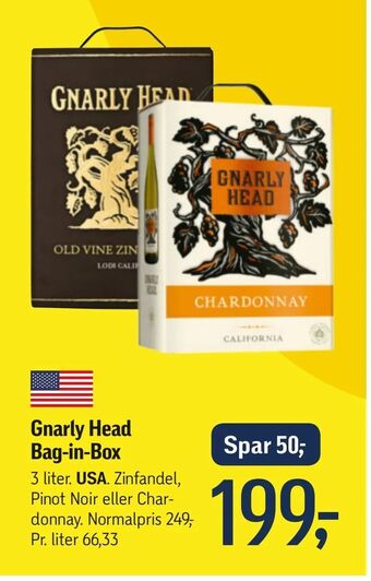 Gnarly Head Bag-in-Box