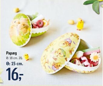 Papæg