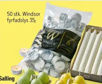 Føtex 50 stk. Windsor tilbud