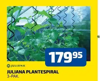 Juliana plantespiral
