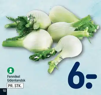 Fennikel Udenlandsk
