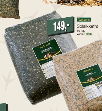 Harald Nyborg Solsikkefrø tilbud