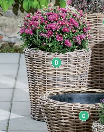 REMA 1000 Potte i pil med plastindlæg Natur tilbud