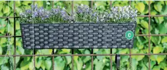 REMA 1000 Altankasse 60x14x14 cm tilbud